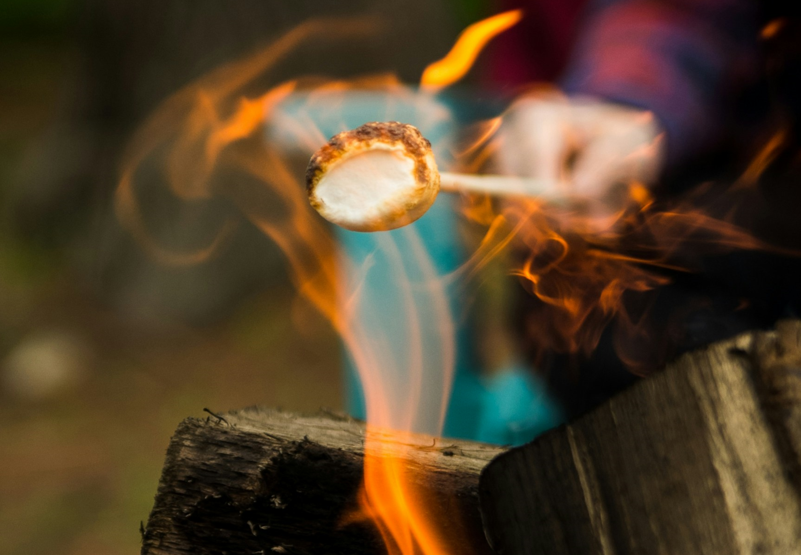 Marshmallow über einem Holzfeuer